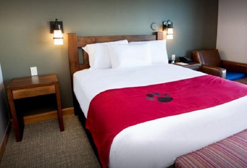 Great Wolf Lodge Bloomington Extérieur photo