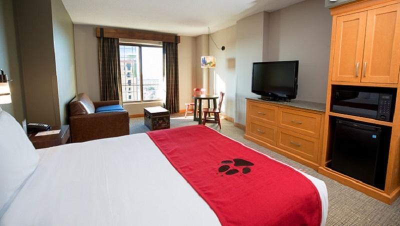 Great Wolf Lodge Bloomington Extérieur photo